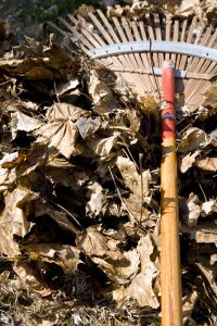 Spring and Fall Cleanup Services